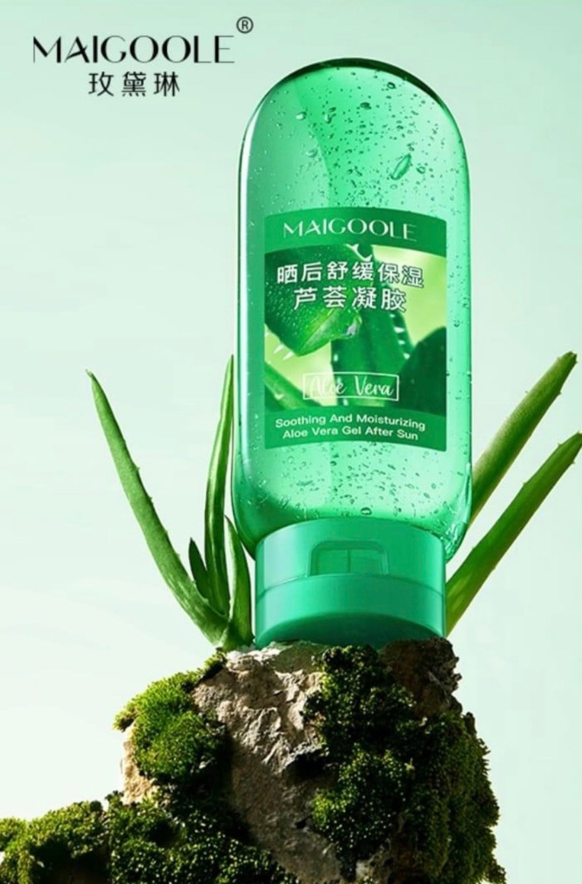 Aloes W Żelu
